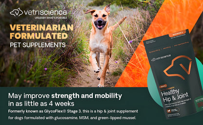 Extra Strength Healthy Hip &amp; Joint for Dogs
