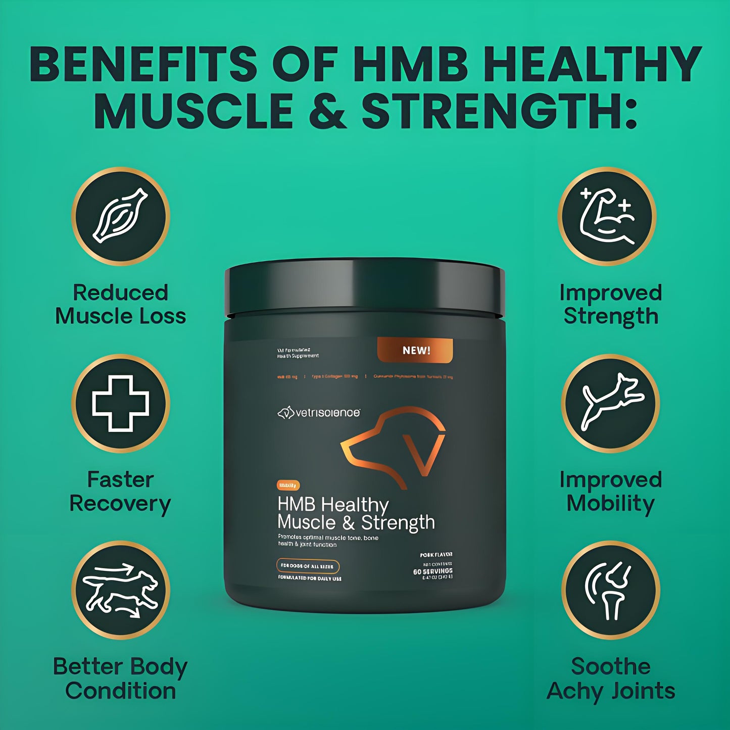 HMB Healthy Muscle & Strength