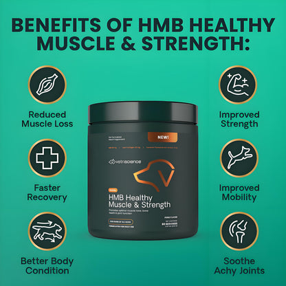 HMB Healthy Muscle & Strength