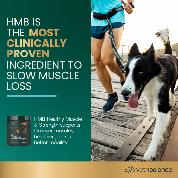 HMB Healthy Muscle & Strength