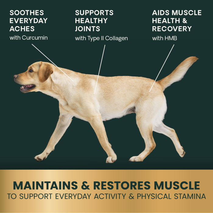 HMB Healthy Muscle & Strength