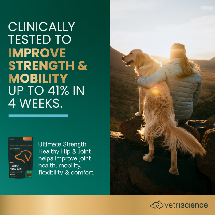 Ultimate Strength Healthy Hip &amp; Joint for Dogs