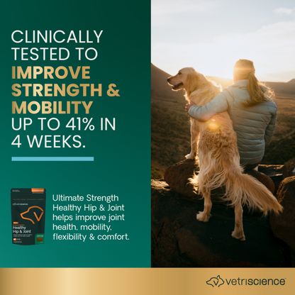 Ultimate Strength Healthy Hip &amp; Joint for Dogs