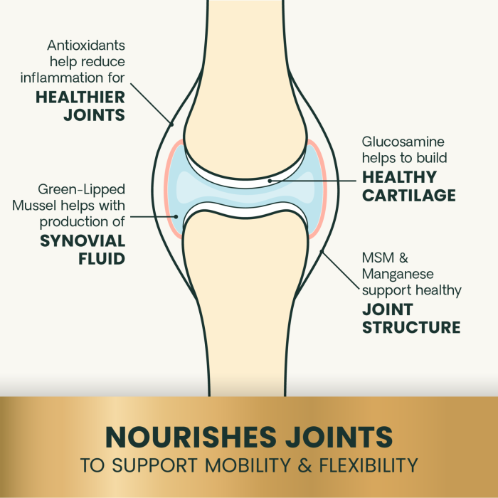 Ultimate Strength Healthy Hip &amp; Joint for Dogs