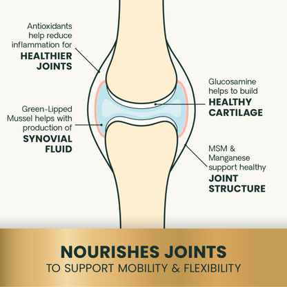 Ultimate Strength Healthy Hip &amp; Joint for Dogs