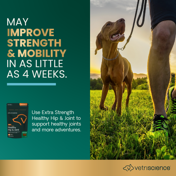 Extra Strength Healthy Hip &amp; Joint for Dogs