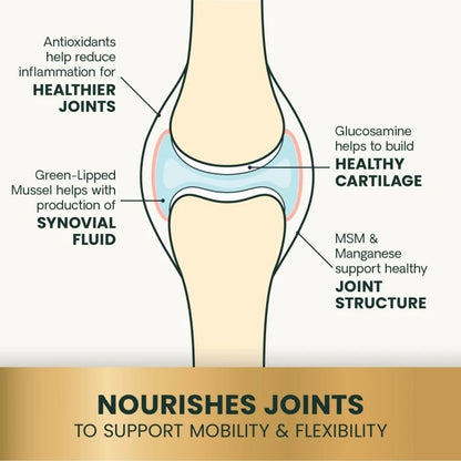 Extra Strength Healthy Hip &amp; Joint for Dogs